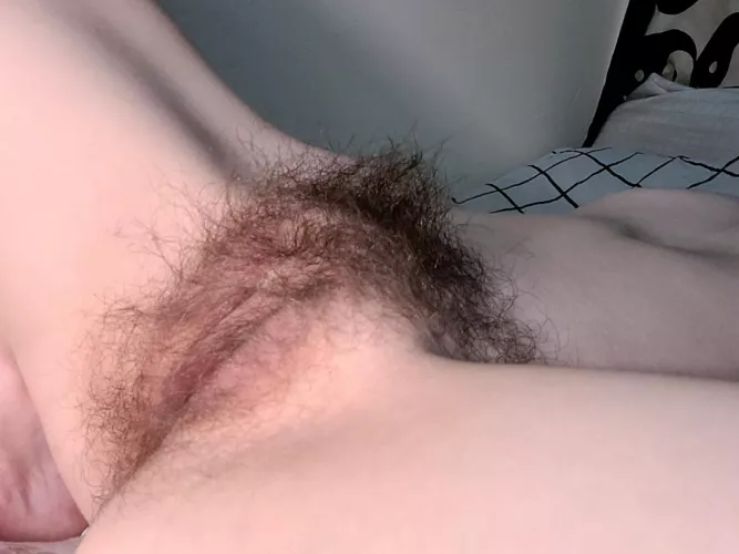 Is my pussy too hairy to ask you to go down on me..? 😅