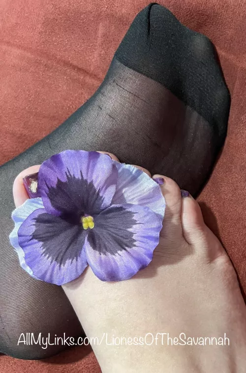 It’s Wrinkly Wednesday 😜😉 You like seeing my soles through my sexy nylon socks?