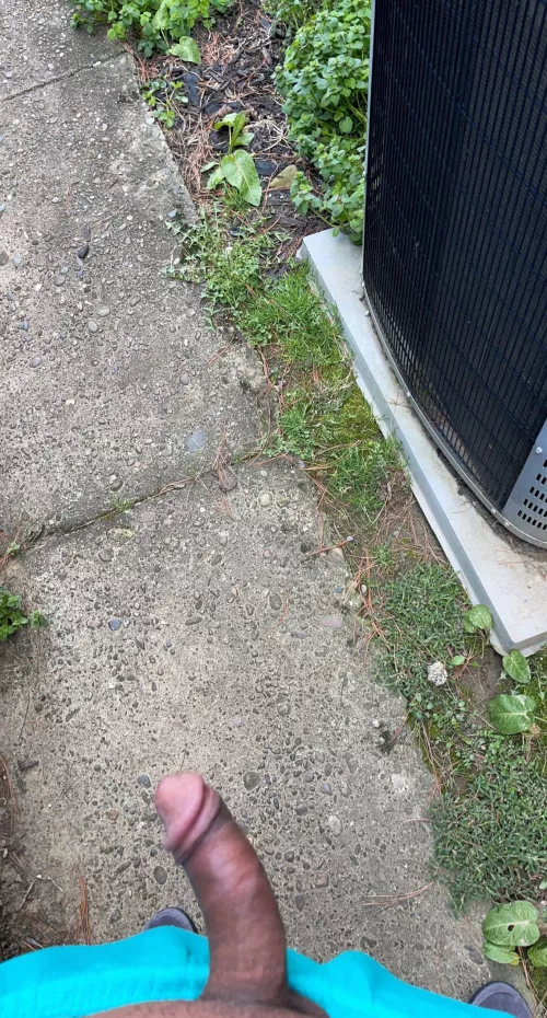 I’ve edged all day I’m ready to cum