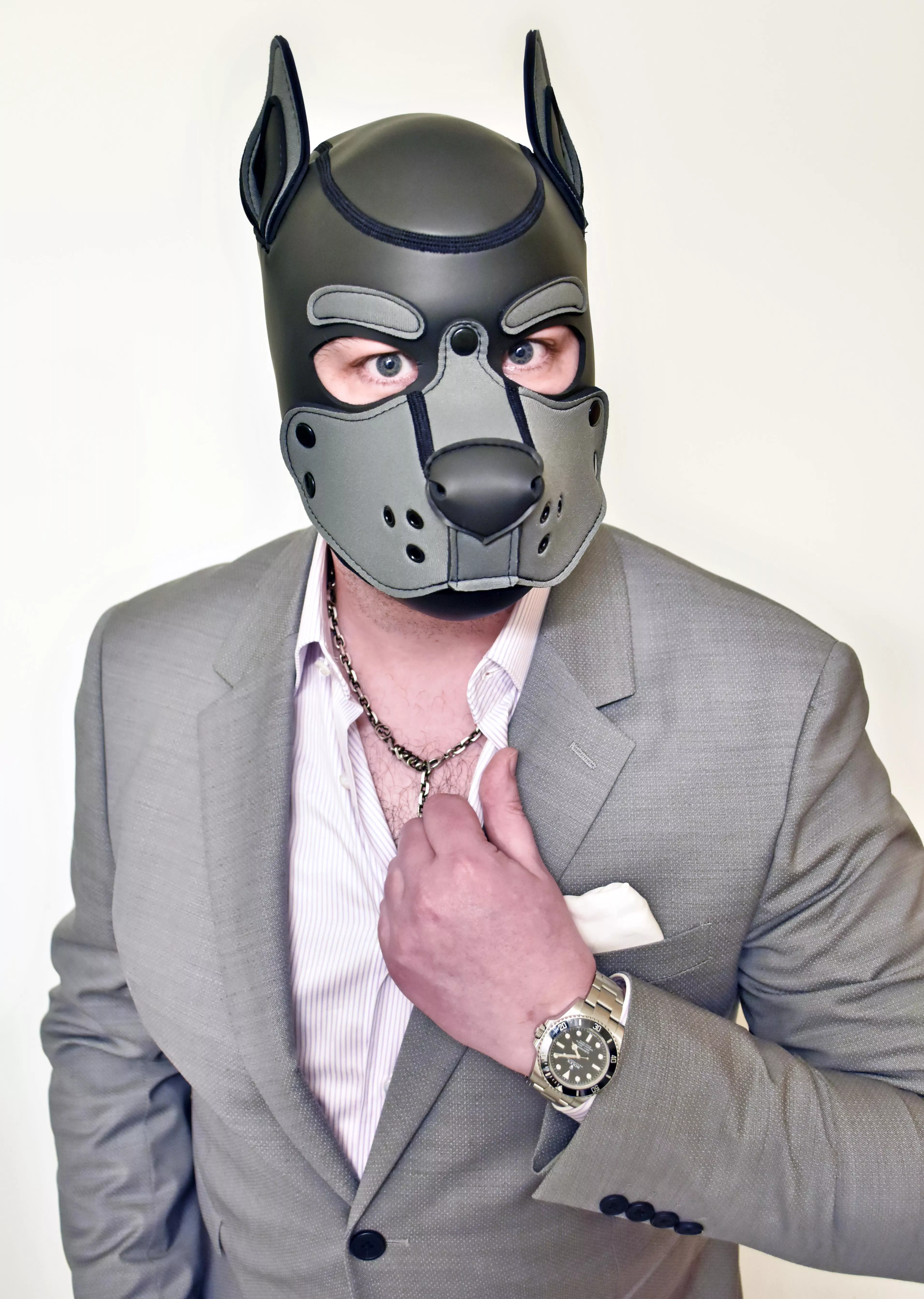 Just a pupfessional woofy 🐺