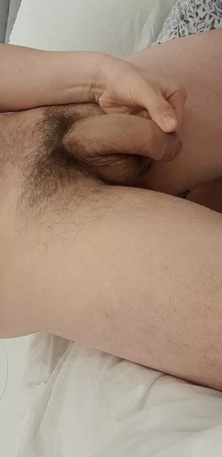 Just a relaxed evening with a relaxed penis....