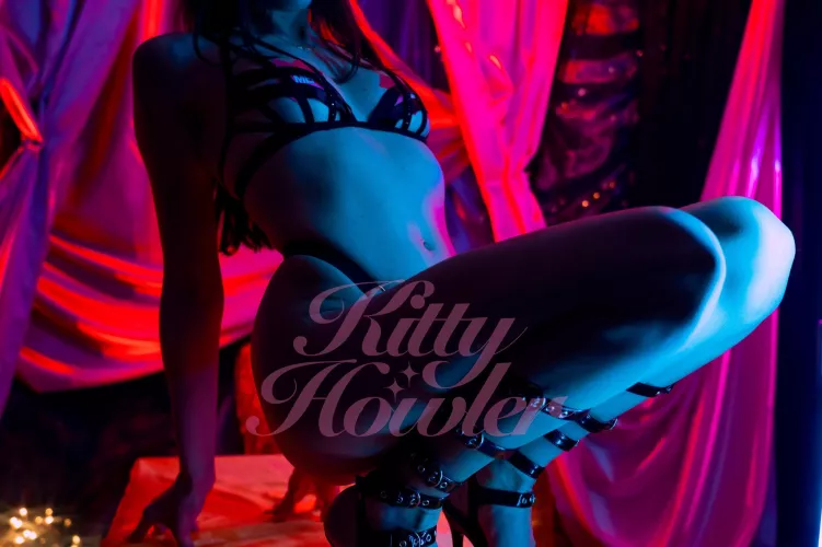 Kitty wants to play 😻