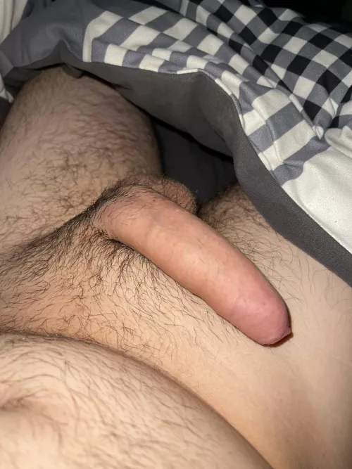 Late night softie