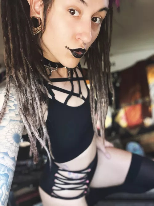 Leave me a 🦴 if I excite yours!