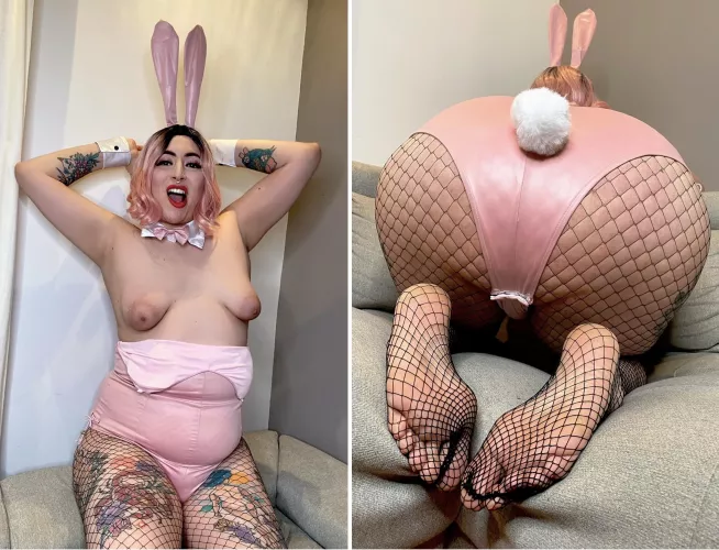 Let’s Visit my Rabbit Hole 🐇 🕳 🐇