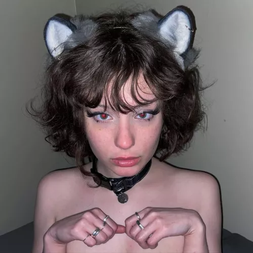 lil snow leopard