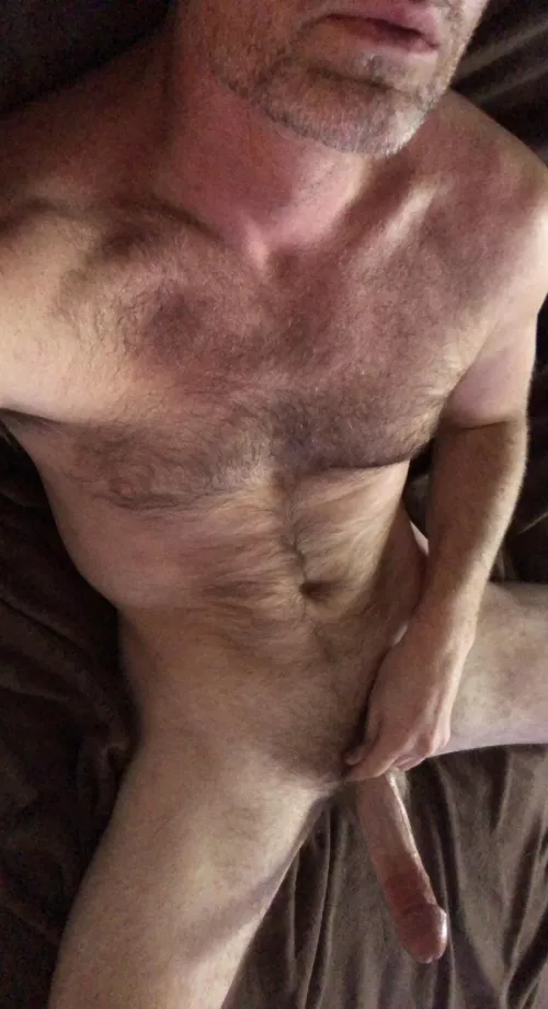 Looking for a 6ft5 hairy man?