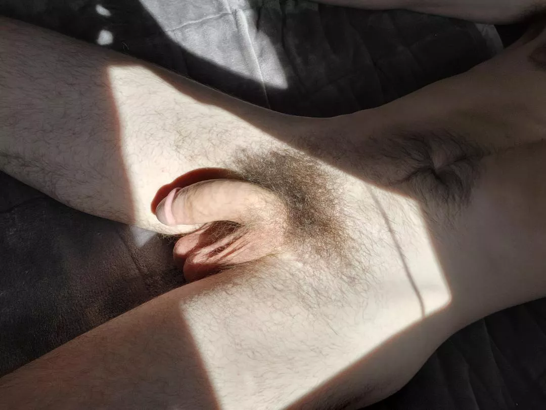 love the afternoon sun in my room 😋