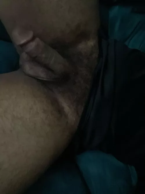 Love the bush today 🤤