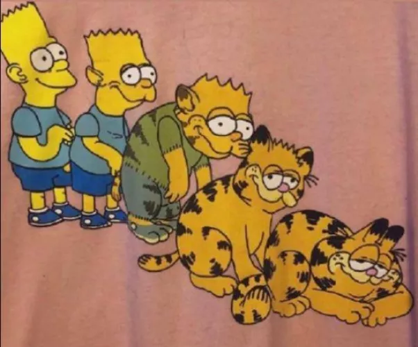 M (Bart) -> M cat (Garfield) M (Bart) -> M cat (Garfield)
