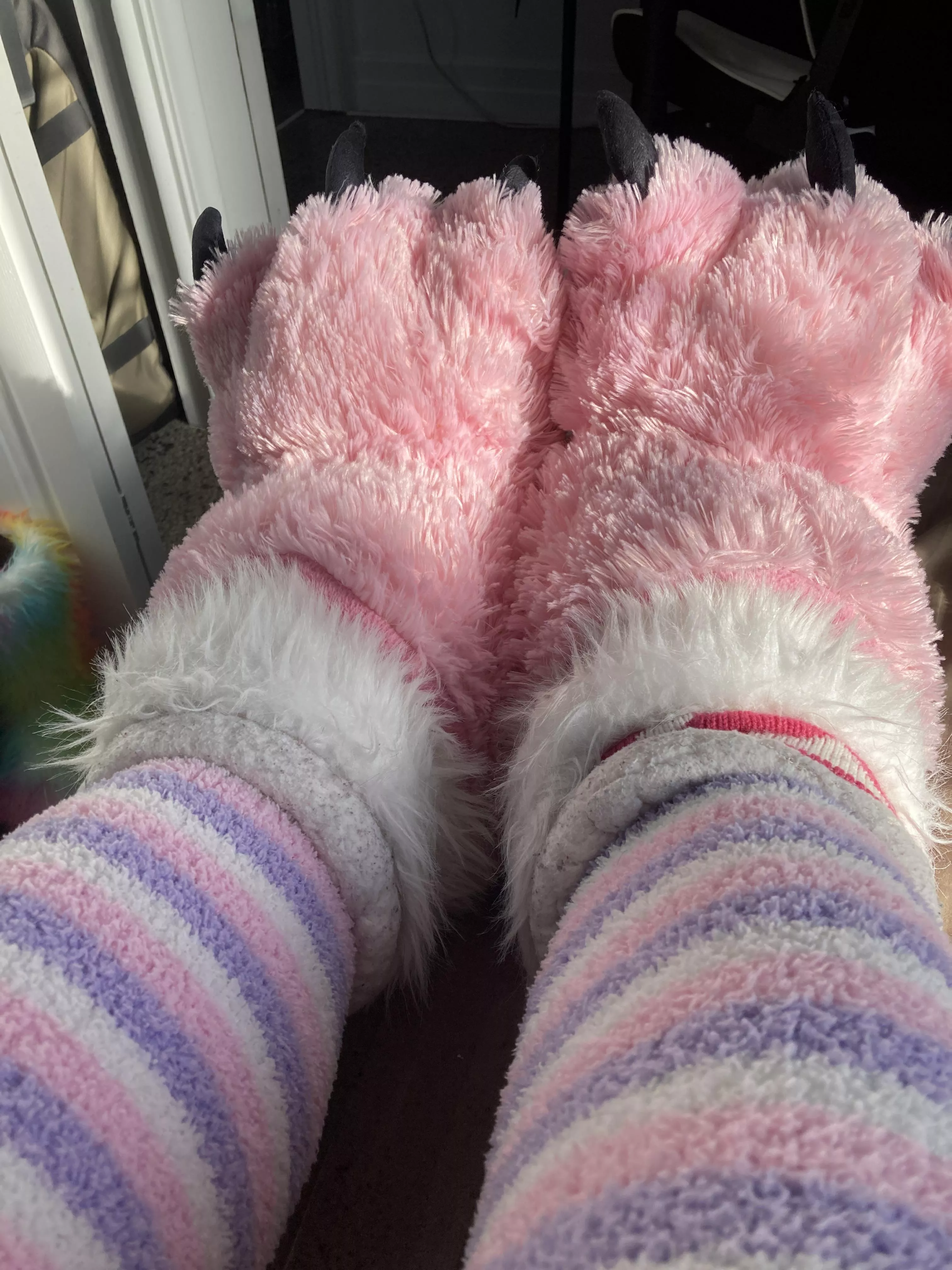 [m] do you like my furry paws and knee high fuzzy socks