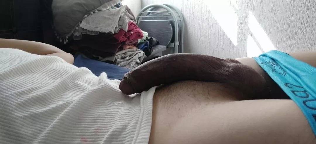 morning cock