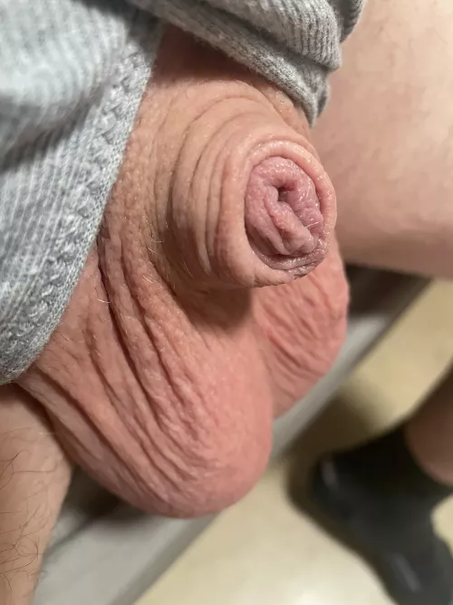 Morning exposure (40)