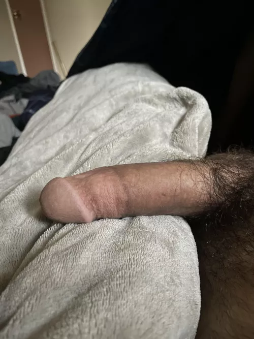 Morning wood. The most relatable of great problems. 😉