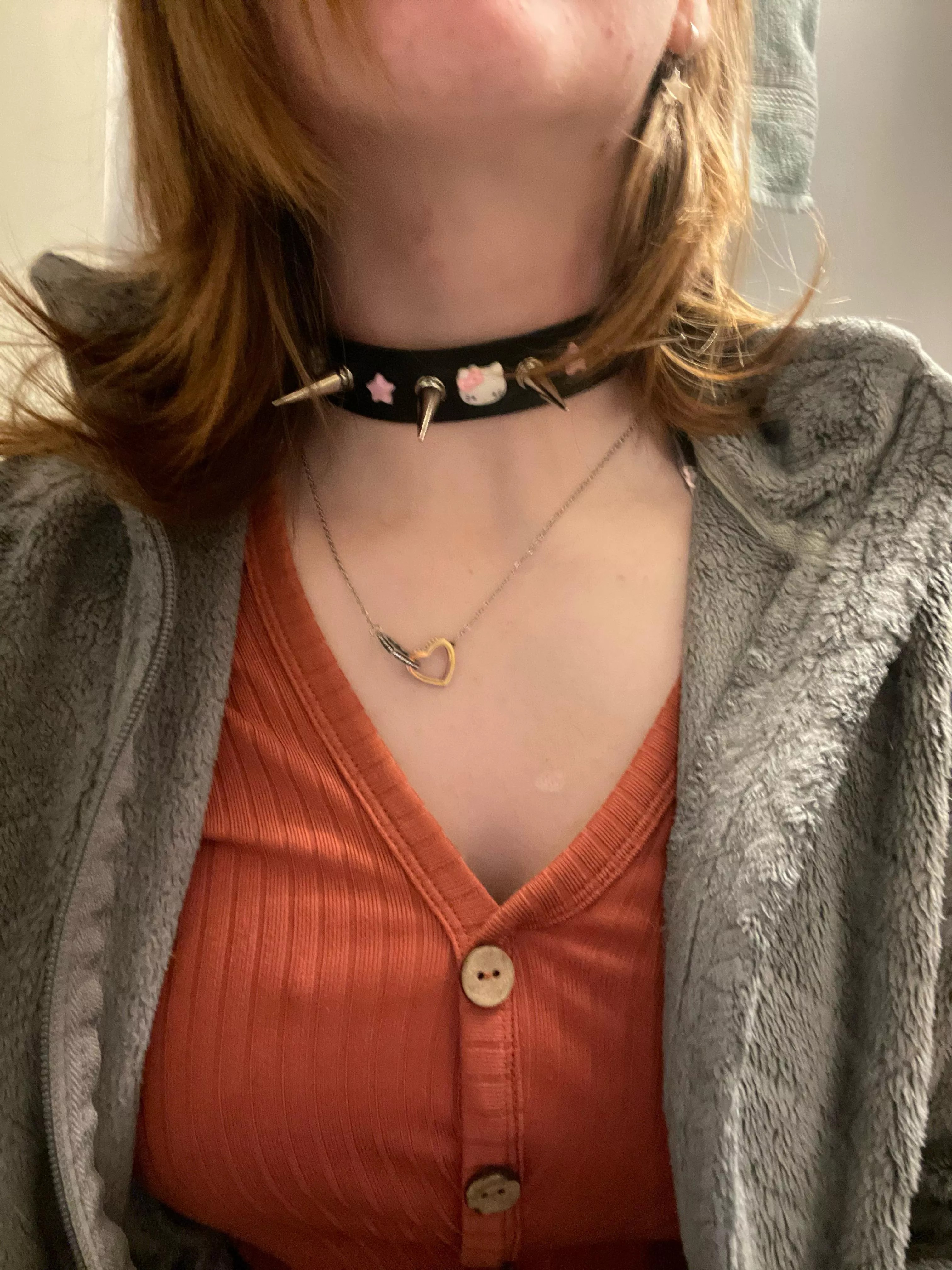 My collar finally arrived in the mail!! Ordered from Etsy… Im ecstatic