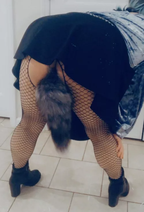 My favorite tail plug ❤️