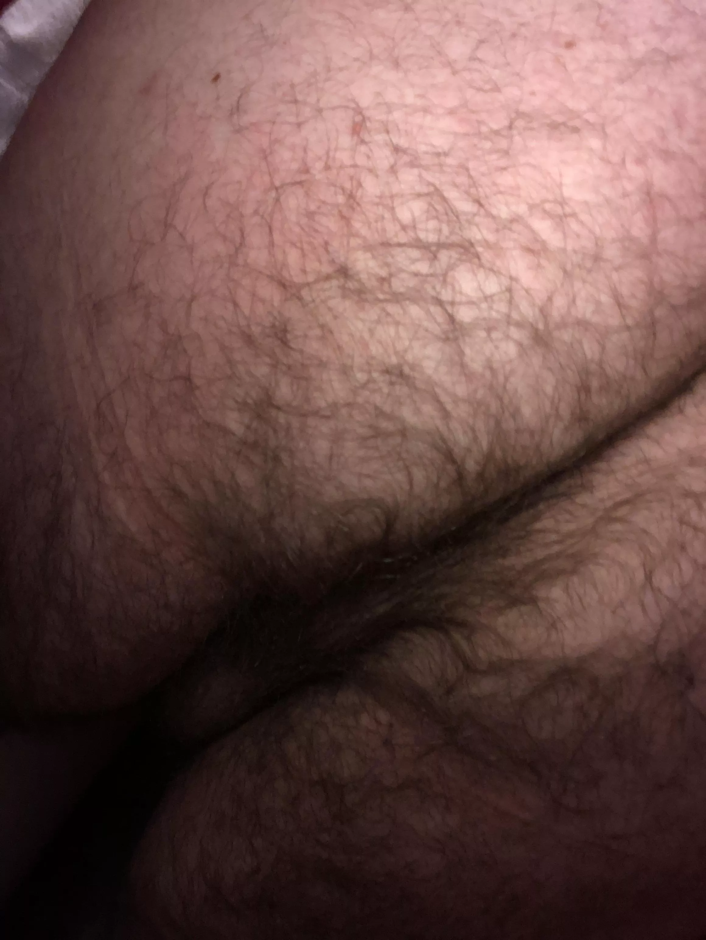 My hairy ass (45)