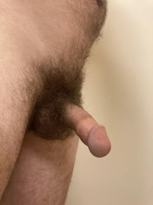 My hairy dick