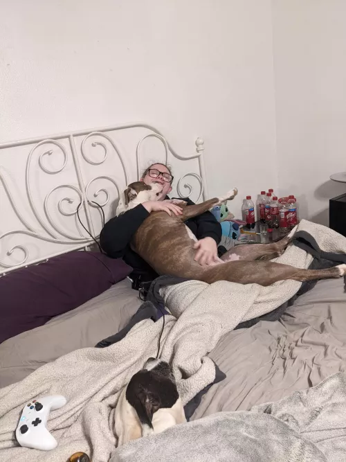 My little bear and her two favorite doggies. All in my bed. I'm the luckiest daddy alive!