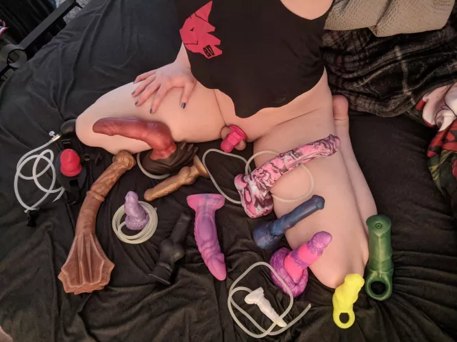 My little menagerie. Not pictured are my Crackers Lil' Squirt that I use as a straw, and a new addition that has yet to arrive ;3