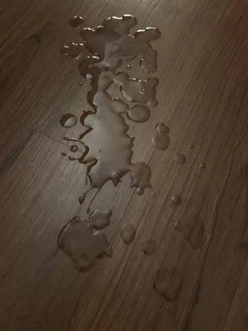 My load. Can you imagine playing the “soggy biscuit” game with me?? Haha