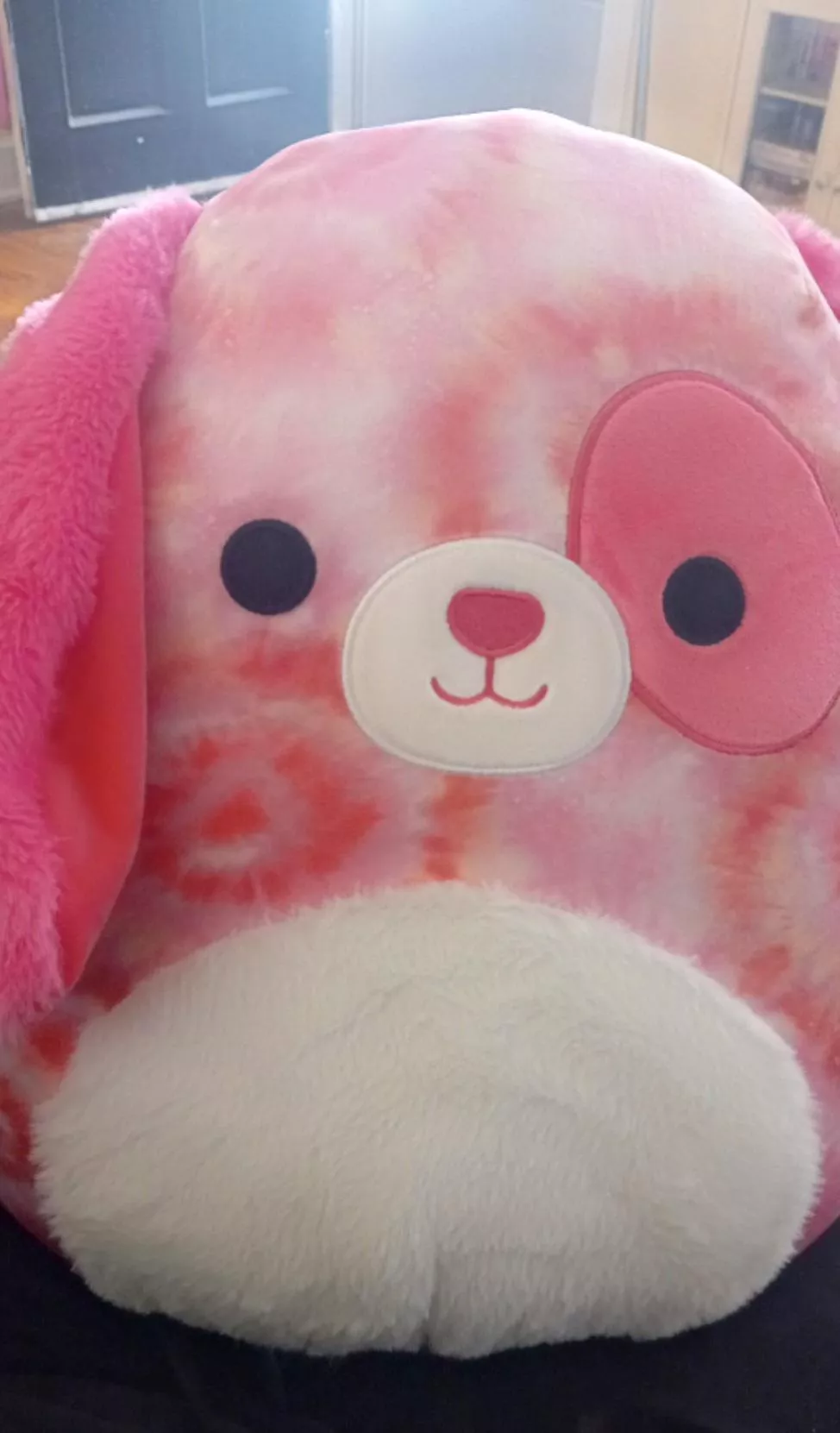 My new baby came in mail today! She is bigger than I expected! Say hewwo to Stwawberry 🍓 🐶