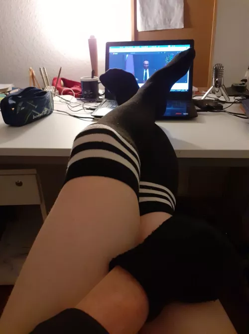 My new thigh highs just arrived