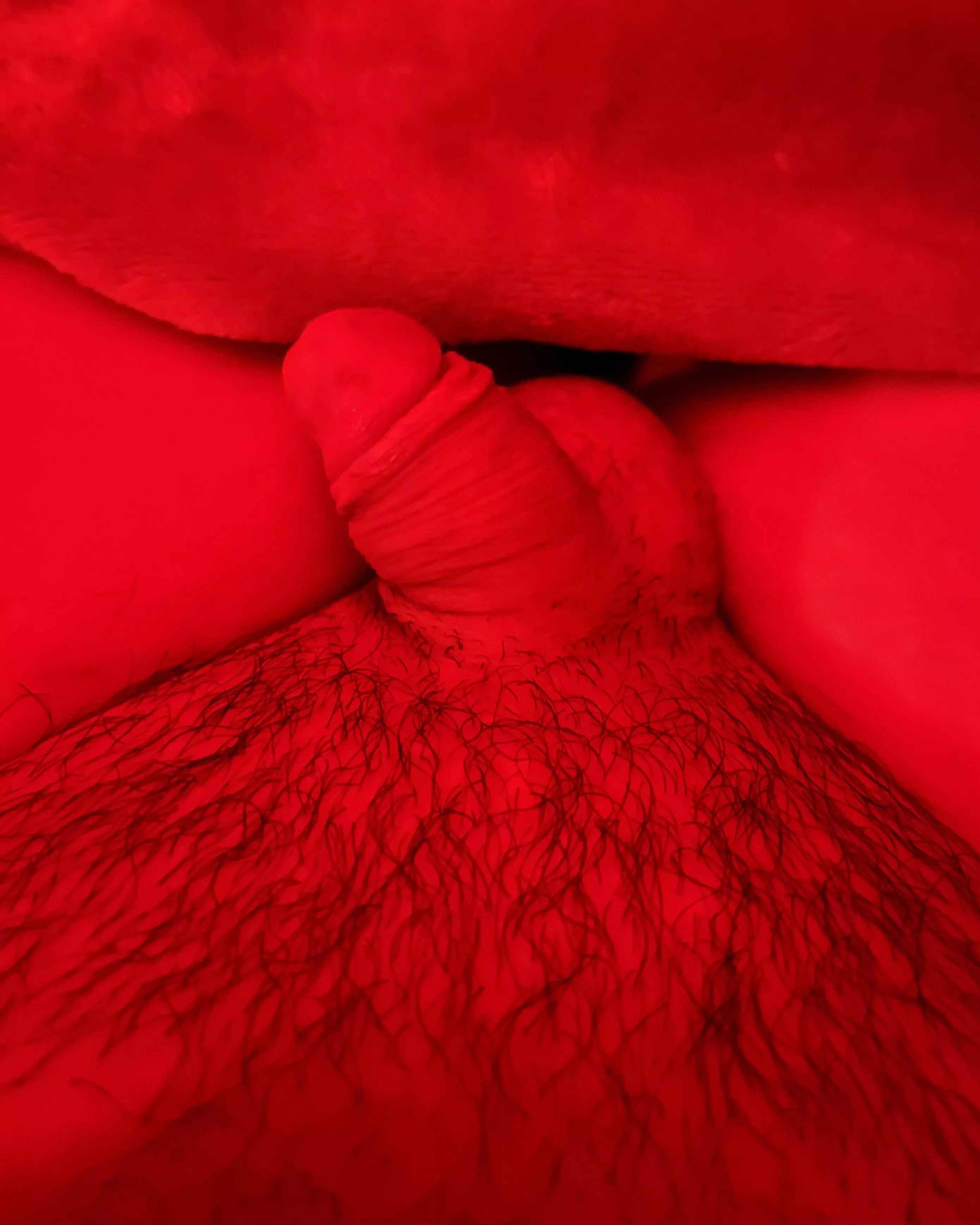 my sleepy peepee 😴 [25]