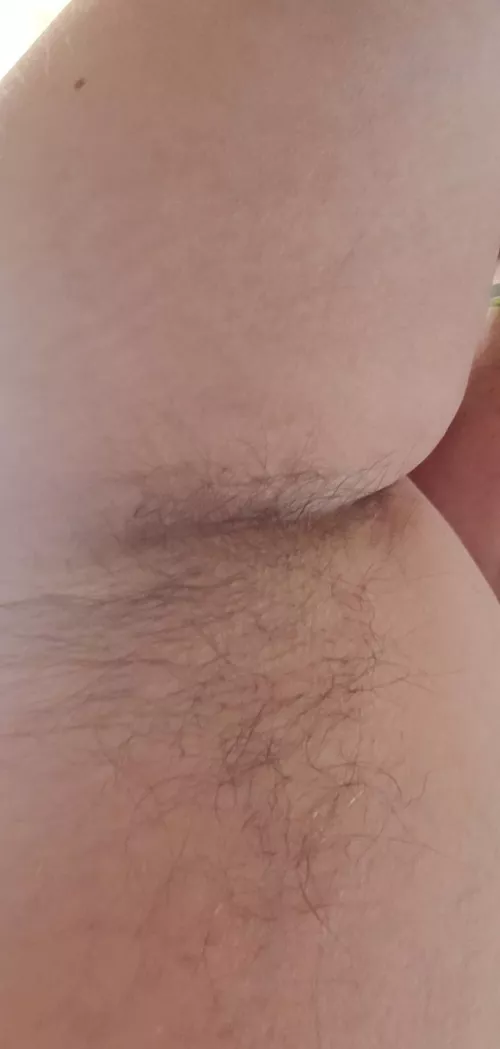 not the thickest but havnt shaved them in almost a year