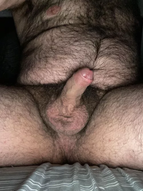 Other horny bear to make fully hard and have fun? 😈🐻 hmu