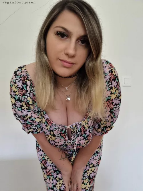 Persian (iranian) X British