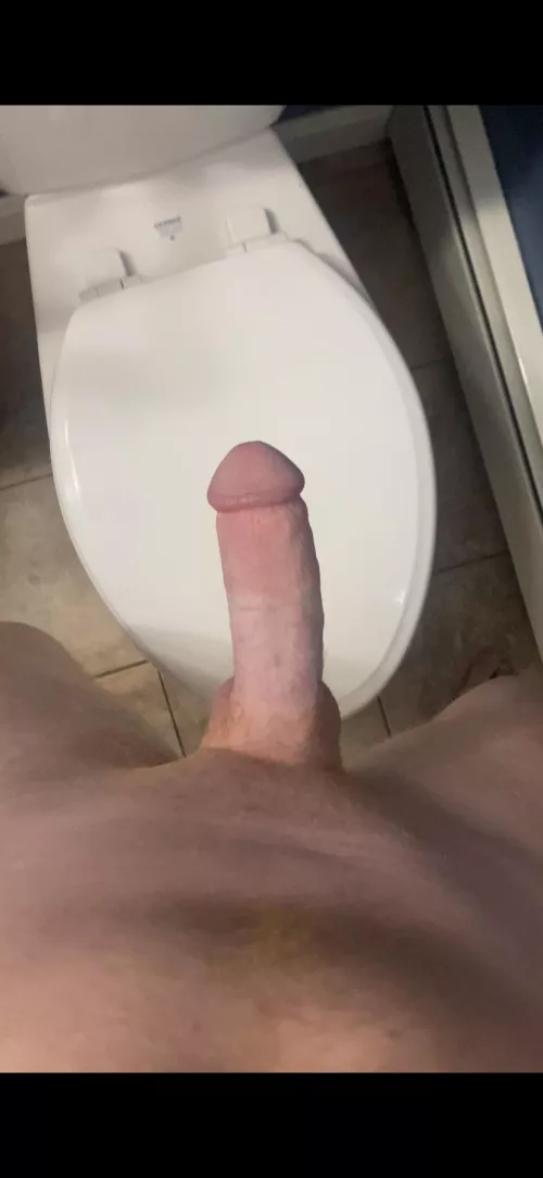 Pink cock