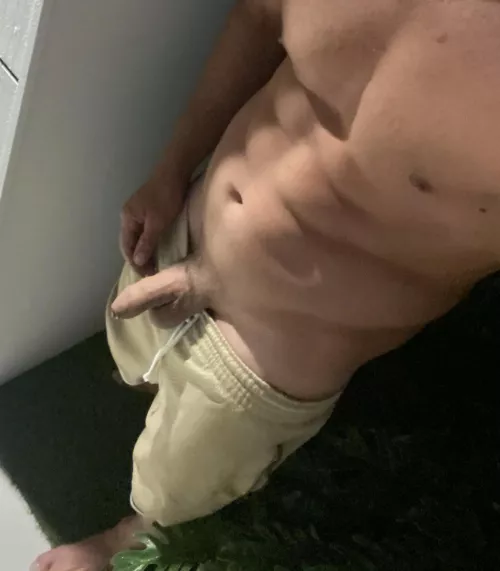 Pissing on my neighbour’s lawn to show him whose boss