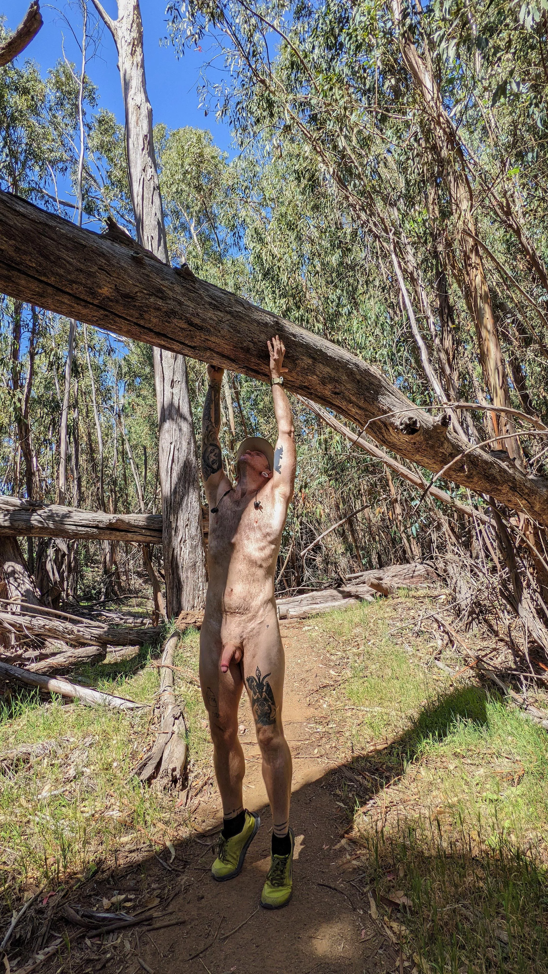 playin with trees again