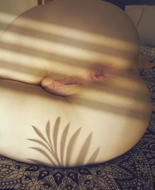 Please cum in me, not on me