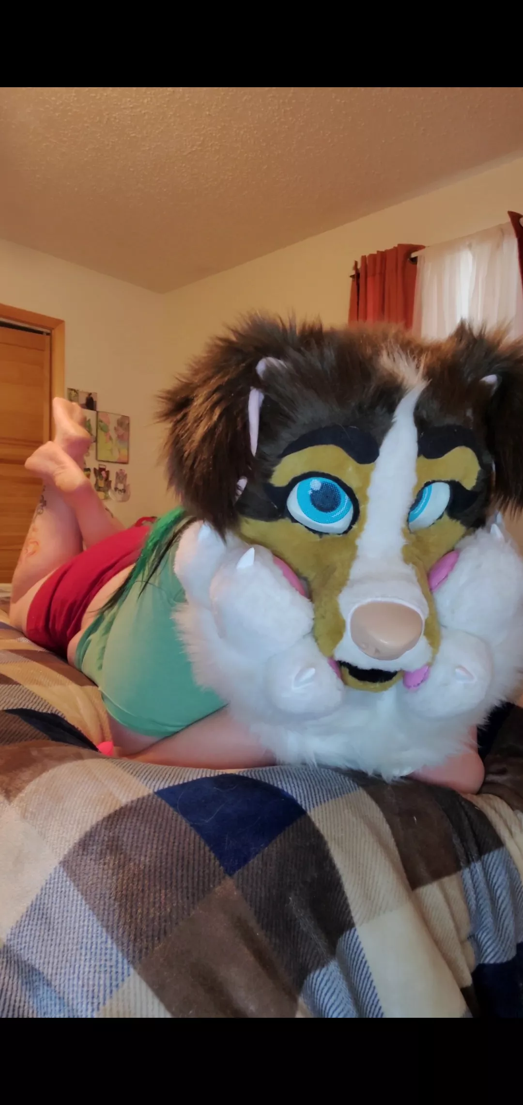 pup enjoys bedtime stories. 🌙 read me a good one♡