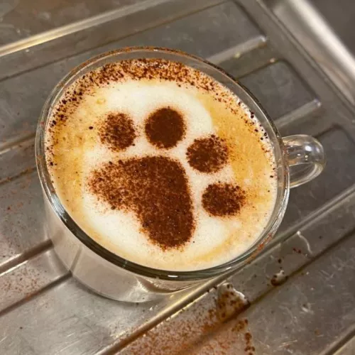 Puppuccino anyone? ☕️