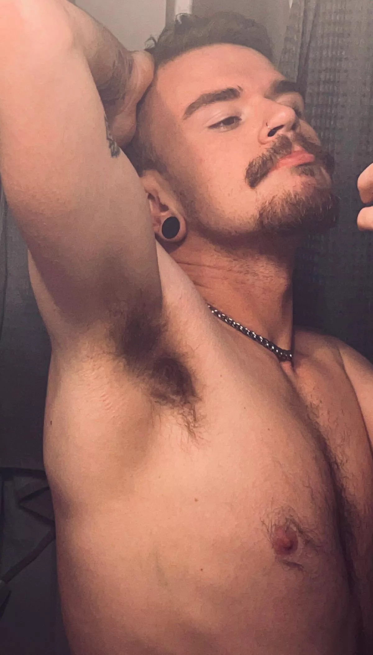 ↓ put ur face here