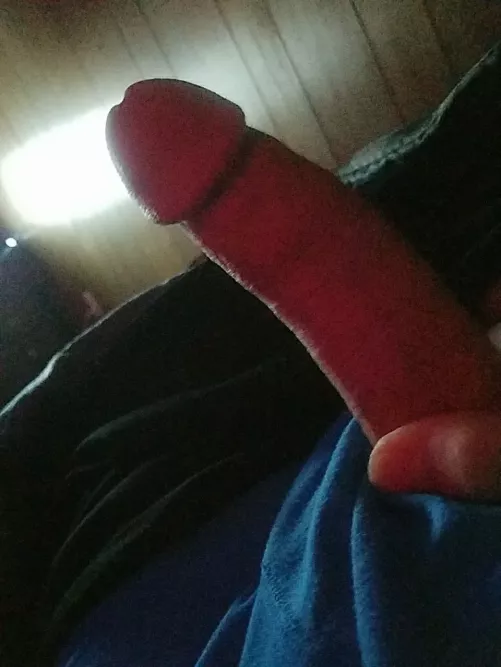 rate my cock