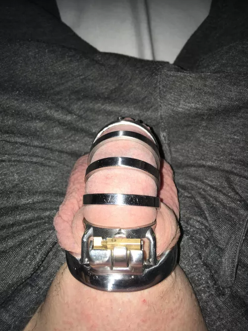 Ready for work, does the fit look good?