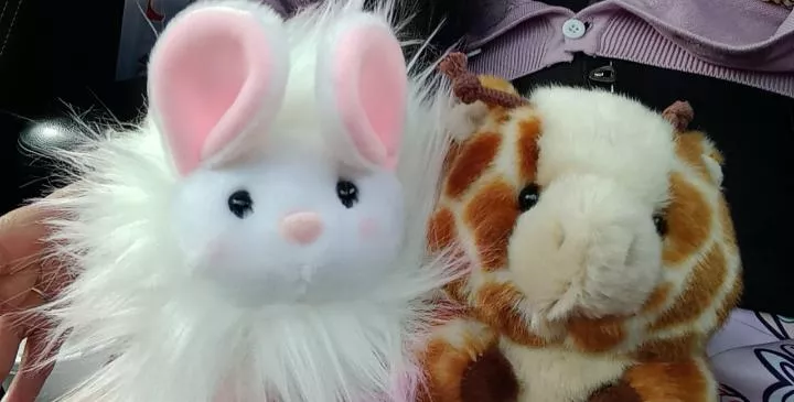 Say hellos to Giminy and Blossom 🌸