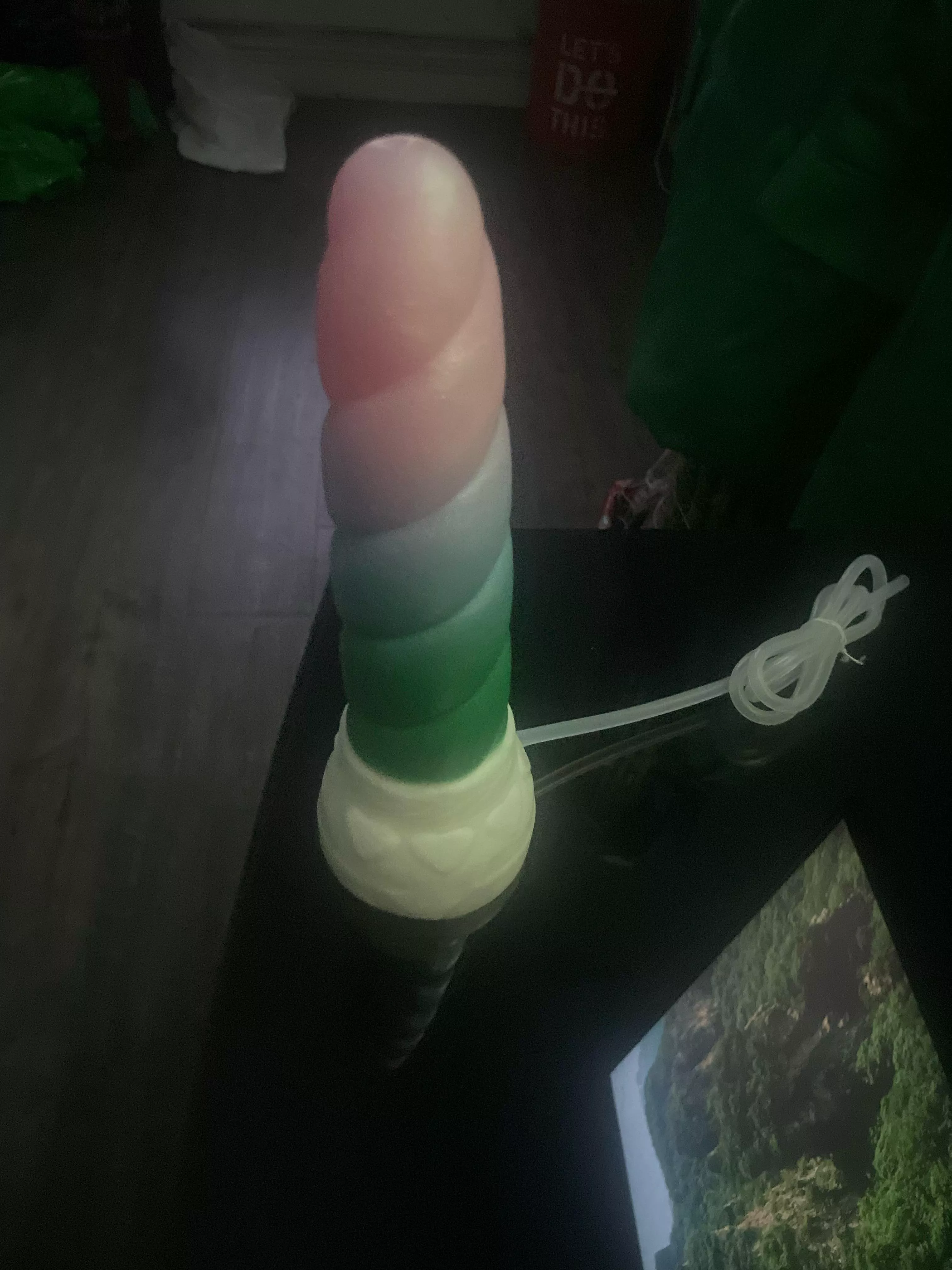 So excited and nervous!!!! Just received my M/M mystic in the mail and it’s to much bigger that I anticipated…. I have a small Rex and this seems like a big jump… any pointers? So excited and nervous!!!! Just received my M/M mystic in the mail and it’s to much bigger that I anticipated…. I have a small Rex and this seems like a big jump… any pointers?