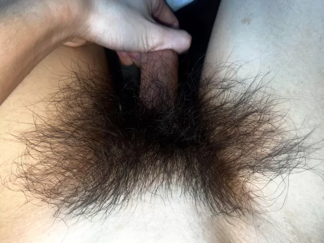 Someone needs to come take care of my bush for me 😈