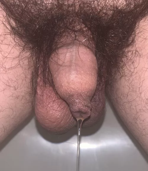 Someone’s a little excited, first time posting! Hope you enjoy my little uncut guy! ☺️ [21]