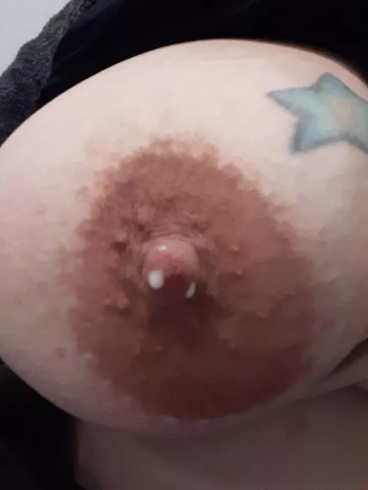 star milk is leaking star milk is leaking