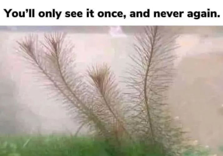 Tell me you didn’t see what I saw.