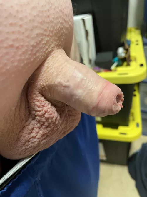 That’s him hard (40)