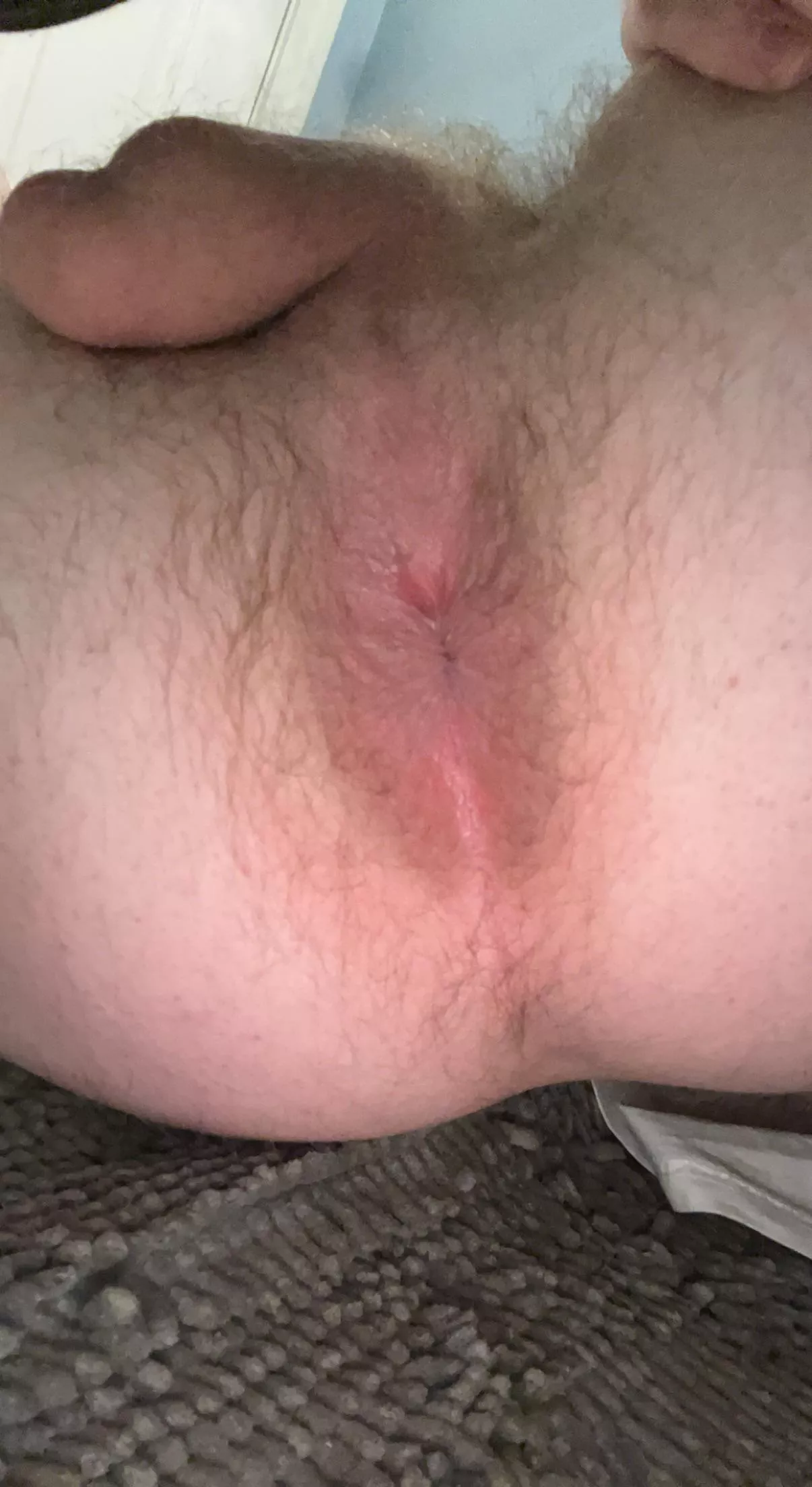 The last one did pretty well, lmk what you think. Trying to take better pics. (22) The last one did pretty well, lmk what you think. Trying to take better pics. (22)
