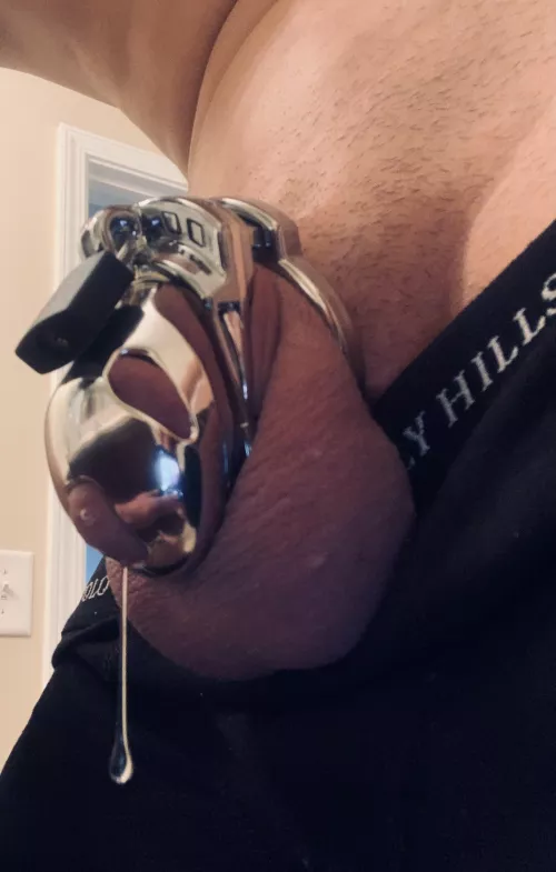 The Vice is AMAZING 💦😍