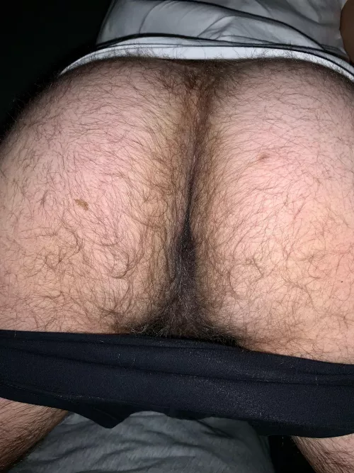 There’s so much hair on my ass 🤯